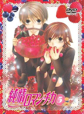 Junjo Romantica / Animation