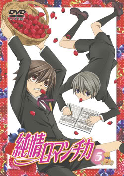 Junjo Romantica / Animation