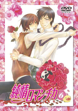 Junjo Romantica / Animation